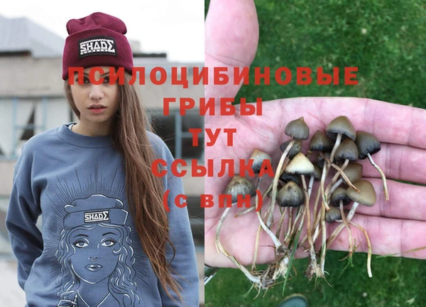 mdpv Заволжье