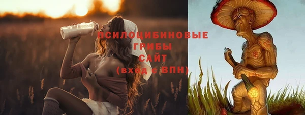 mdpv Заволжье