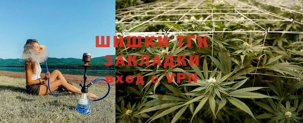 ПСИЛОЦИБИНОВЫЕ ГРИБЫ Елабуга